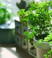 绥化专属于你的开运指南，助你鸿运当头福满身！