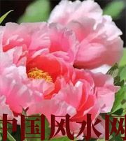 绥化预示你财运上升，姻缘可成的梦境，快来看看吧！