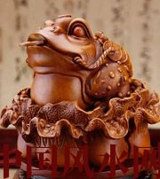 绥化解读金蟾最合适的位置，这样摆放更招财！