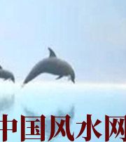 绥化做梦梦到这些，是要富裕的征兆！